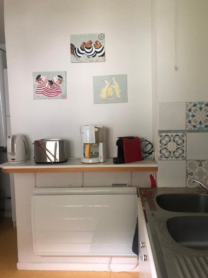 Grand Appartement En Rdc Vallee De Campan Exterior photo